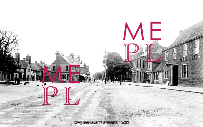  : Stevenage, High Street 1903