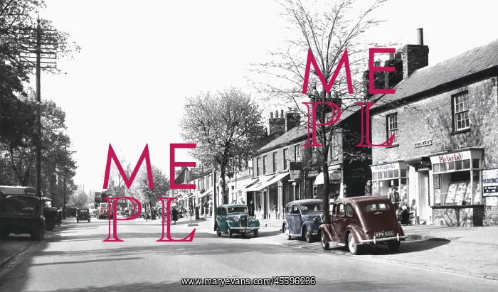  : Stevenage, High Street c1950