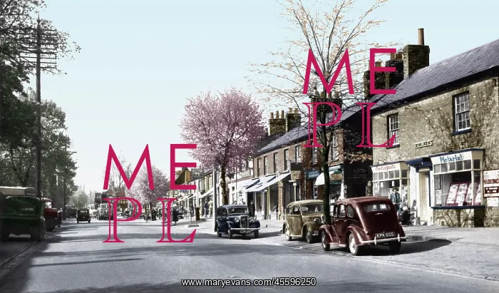  : Stevenage, High Street c1950