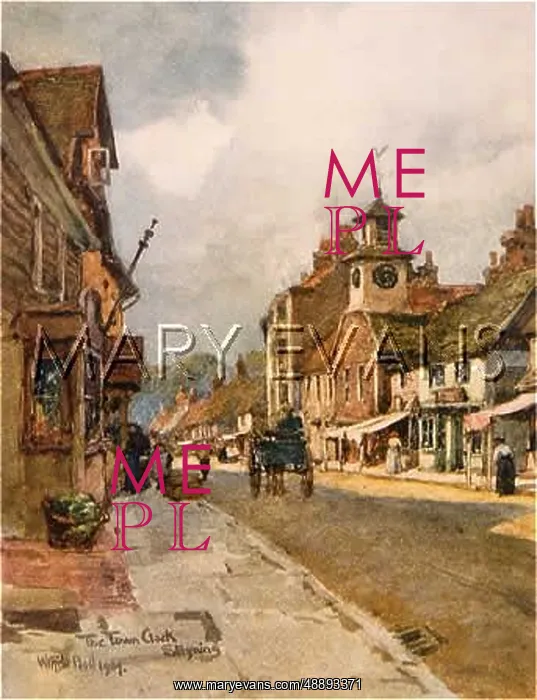  : STEYNING / SUSSEX 1906