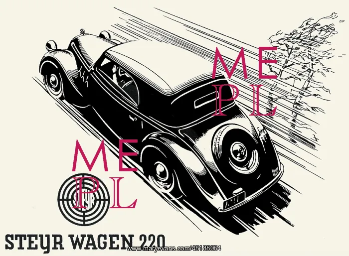 : Steyr motor car : Steyr motor car