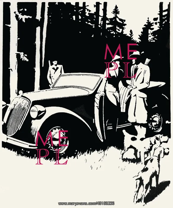 : Steyr motor car : Steyr motor car