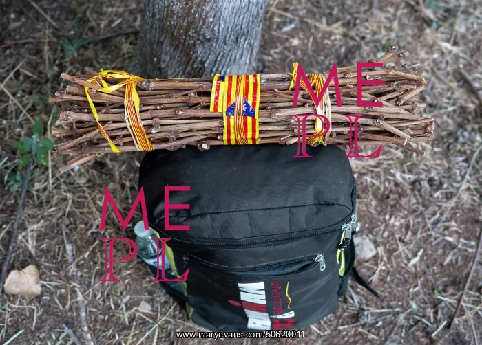 : Sticks, Trobada del Canigo, Canigo, Pyrenees-Orientales : Sticks, Trobada del Canigo, Canigo, Pyrenees-Orientales