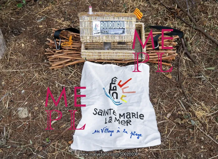 : Sticks, Trobada del Canigo, Canigo, Pyrenees-Orientales : Sticks, Trobada del Canigo, Canigo, Pyrenees-Orientales