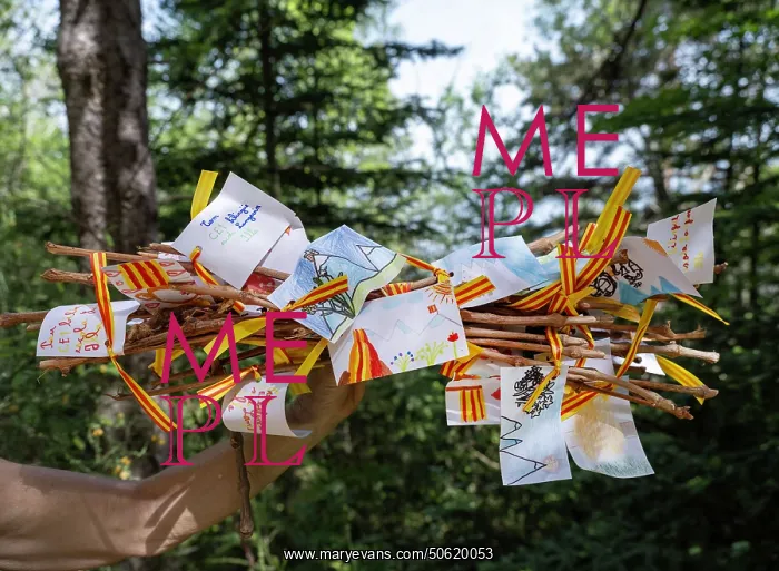 : Sticks, Trobada del Canigo, Canigo, Pyrenees-Orientales : Sticks, Trobada del Canigo, Canigo, Pyrenees-Orientales