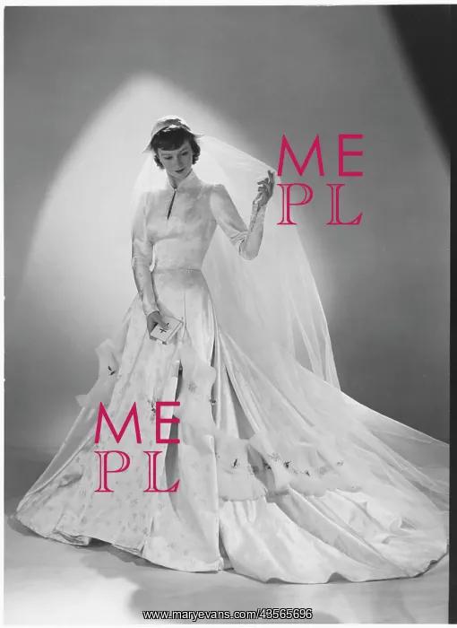 : STIEBEL / WEDDING DRESS : STIEBEL / WEDDING DRESS