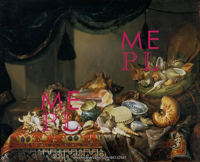 : Still-life with shells, painted by : Still-life with shells, painted by