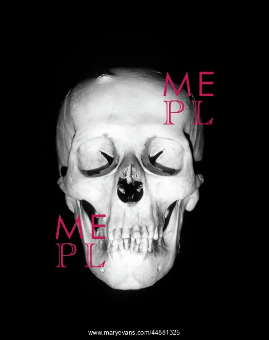  : Still-Life Of Skull Floating In