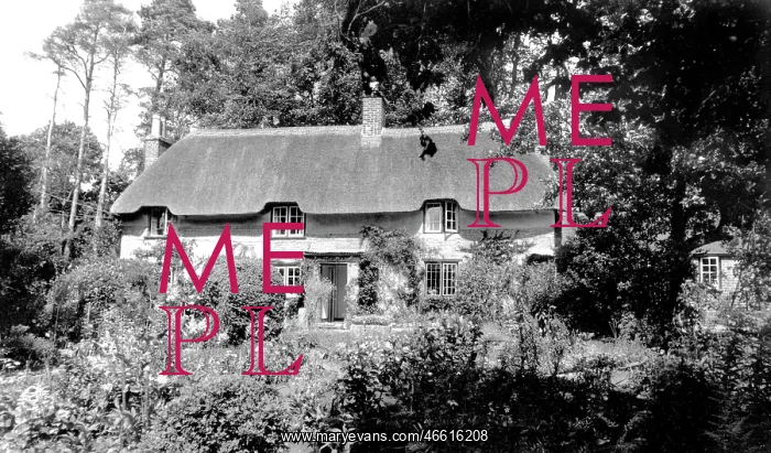  : Stinsford, Thomas Hardy's Birthplace c1955