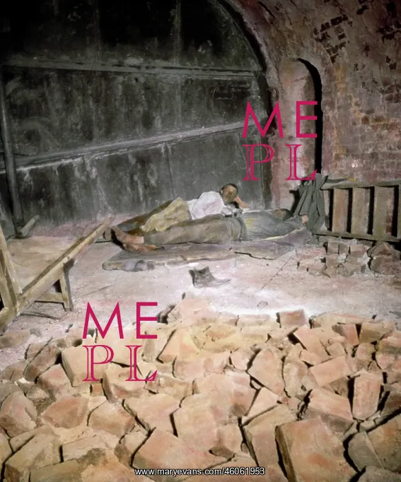 : Stock in the chamber of a brick-kiln : Stock in the chamber of a brick-kiln