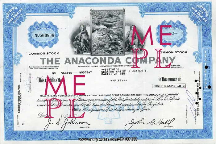 : Stock Share Certificate - The Anaconda Company : Stock Share Certificate - The Anaconda Company