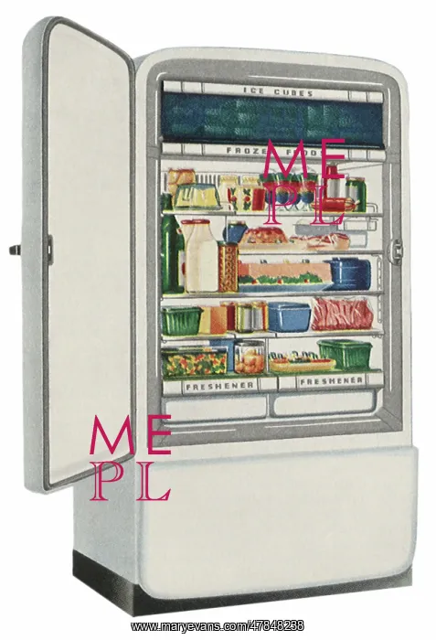 : Stocked Refrigerator : Stocked Refrigerator