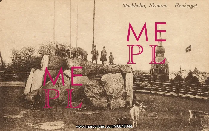 : Stockholm - Skansen : Stockholm - Skansen