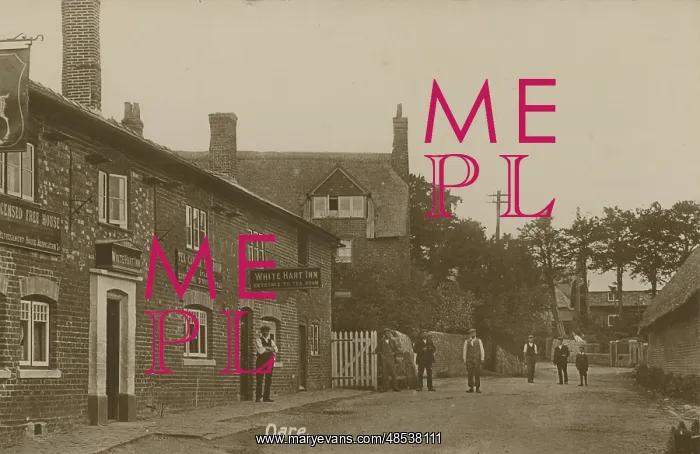 : The Stocks and showing the White Hart Inn : The Stocks and showing the White Hart Inn