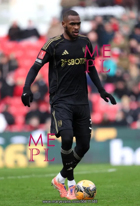: Stoke City v Fulham - Emirates FA Cup Fourth Round : Stoke City v Fulham - Emirates FA Cup Fourth Round