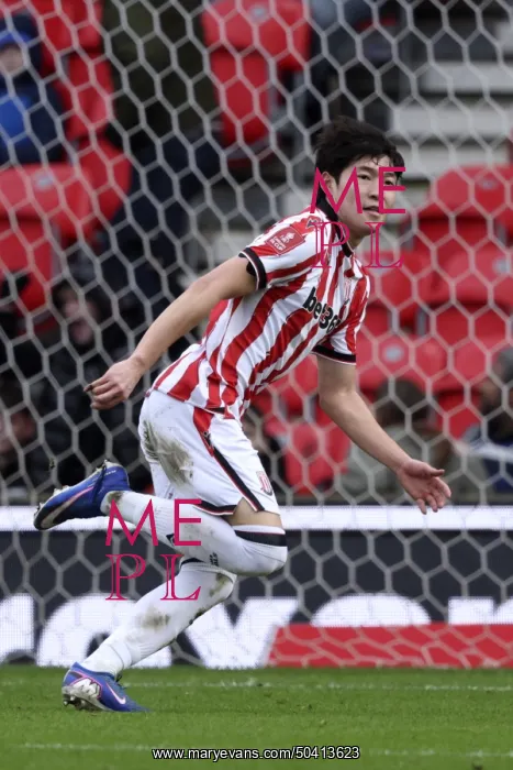 : Stoke City v Fulham - Emirates FA Cup Fourth Round : Stoke City v Fulham - Emirates FA Cup Fourth Round
