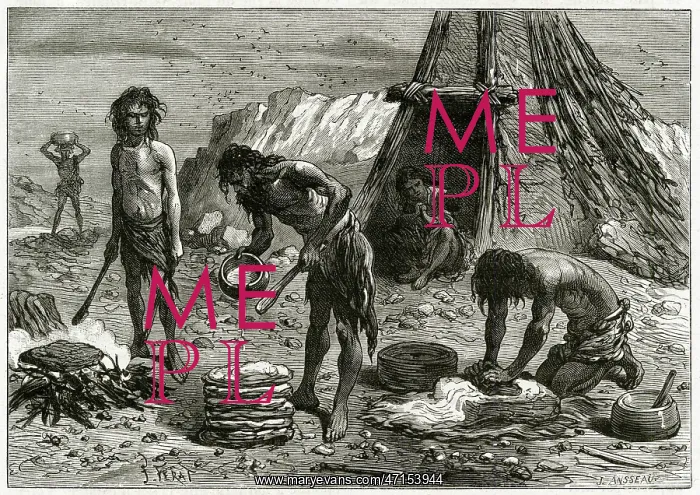 : Stone Age Breadmaking : Stone Age Breadmaking