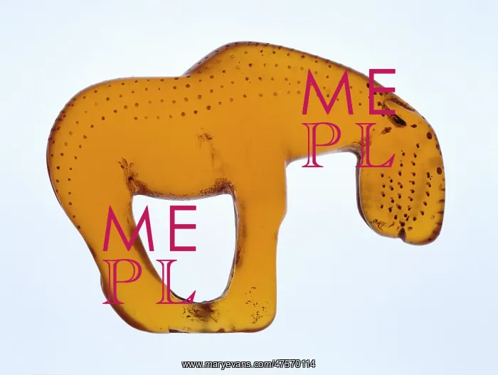 : Stone age horse : Stone age horse