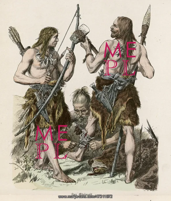 : Stone Age Hunters : Stone Age Hunters