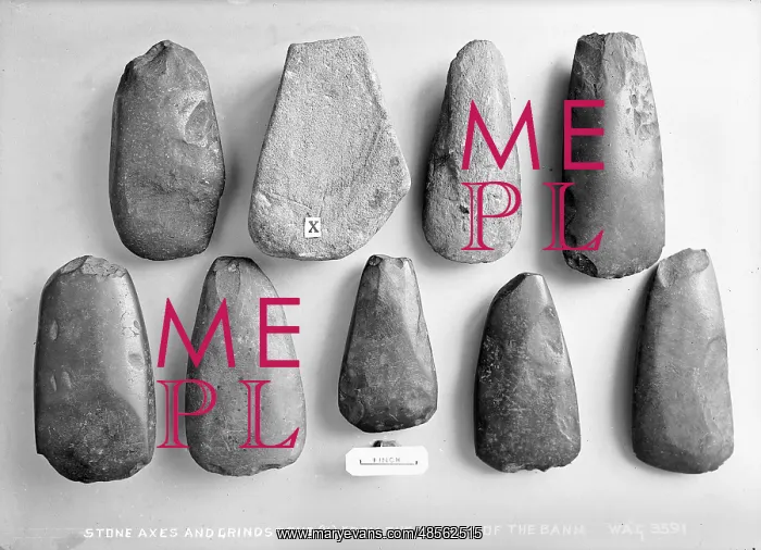 : Stone Axes and Grindstone(X) from the Valley of the Bann : Stone Axes and Grindstone(X) from the Valley of the Bann