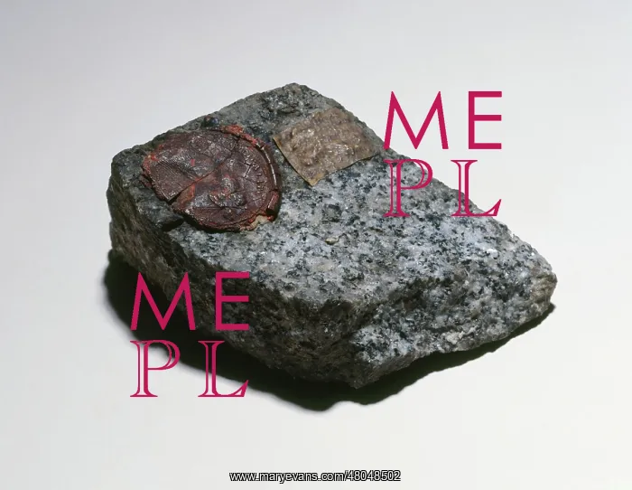 : Stone From the Bastille Prison : Stone From the Bastille Prison