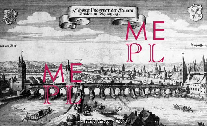 : Stone bridge in Regensburg, 1644 : Stone bridge in Regensburg, 1644