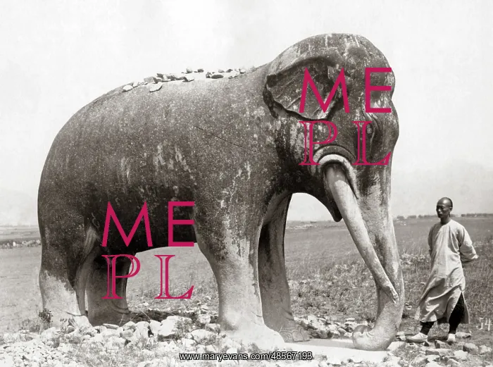 : Stone elephant, Ming Tombs, China, circa 1890