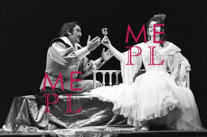 : The Stone Guest opera, 1976 : The Stone Guest opera, 1976