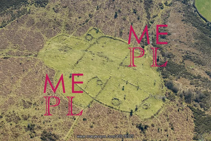 : Stone hut circle settlement on Buckland Common, Dartmoor : Stone hut circle settlement on Buckland Common, Dartmoor