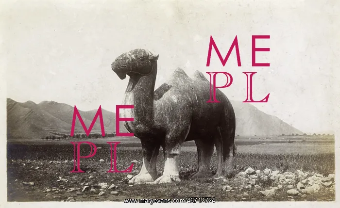 : Stone statue of a camel on the approach to the Ming Tombs : Stone statue of a camel on the approach to the Ming Tombs