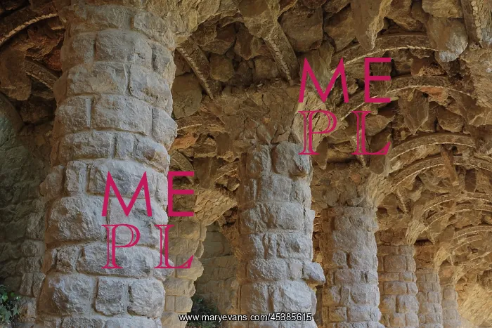 : Stone trees, Parc Guell, Barcelona : Stone trees, Parc Guell, Barcelona