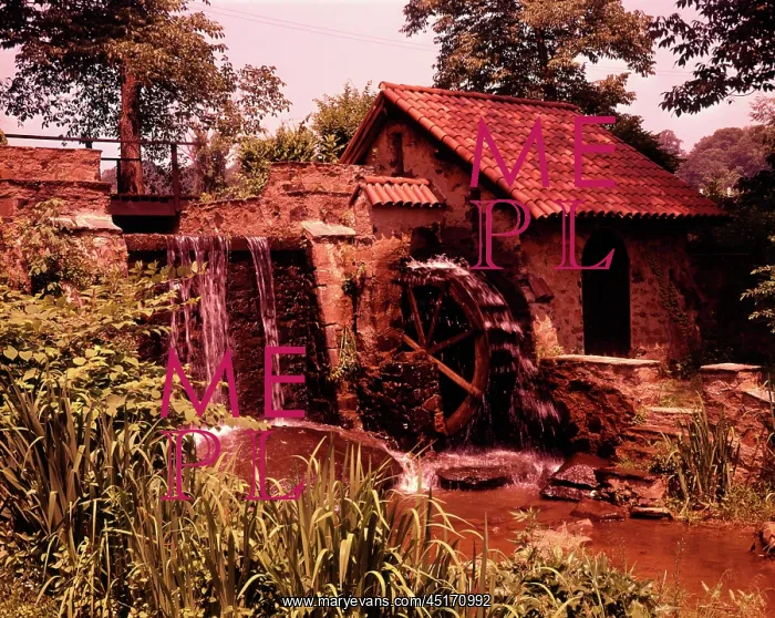 : Stone Mill Water Wheel Stream Summer St. Davids Mill PA : Stone Mill Water Wheel Stream Summer St. Davids Mill PA
