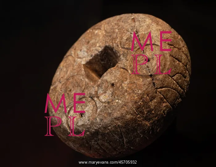 : Stone weight, Goteborg Stadsmuseum, Gothenburg, Sweden : Stone weight, Goteborg Stadsmuseum, Gothenburg, Sweden