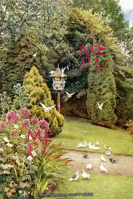  : STONELANDS GARDEN 1908