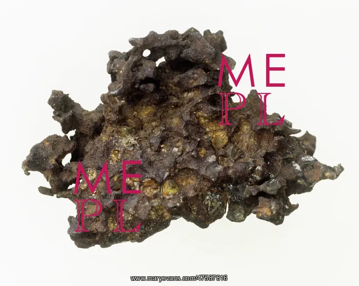 : Stony-iron meteorite : Stony-iron meteorite