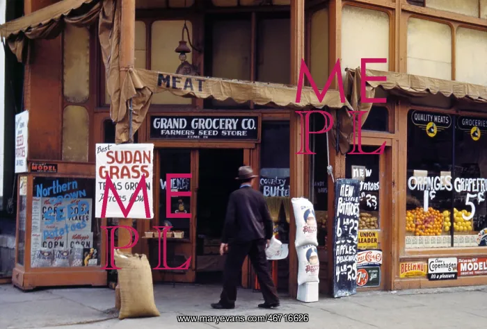 : Store - Retail - Food - Shopping : Store - Retail - Food - Shopping
