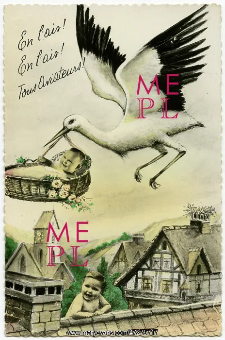 : Stork : Get it Up : Stork : Get it Up