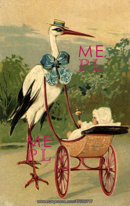  : Stork Baby in Stroller