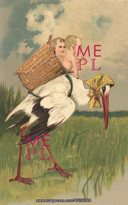  : Stork Carrying Infants in Basket