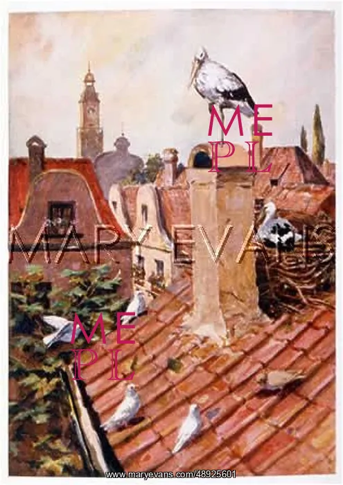  : STORK NEST GERMANY