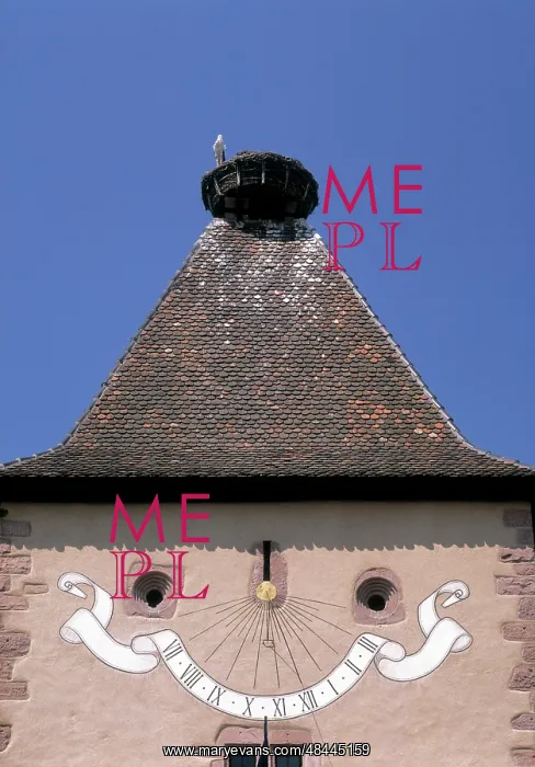 : Stork Nest Turckheim Alsace : Stork Nest Turckheim Alsace