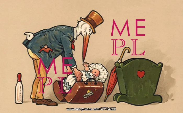  : Stork Unpacking Baby