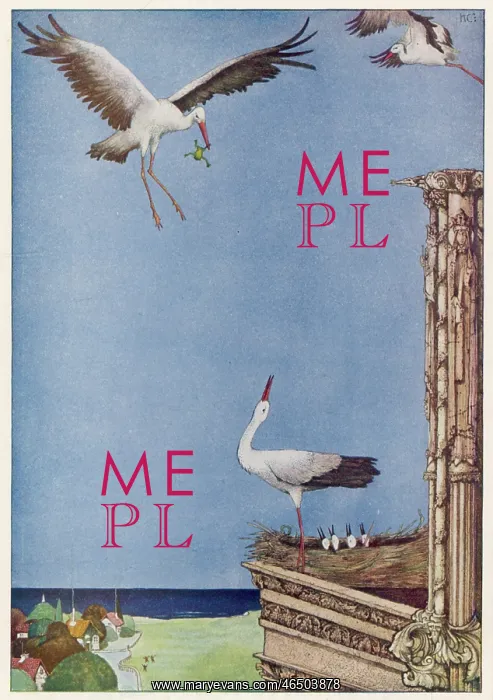 : The Storks : The Storks