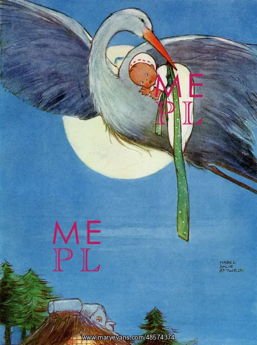: The Storks : The Storks