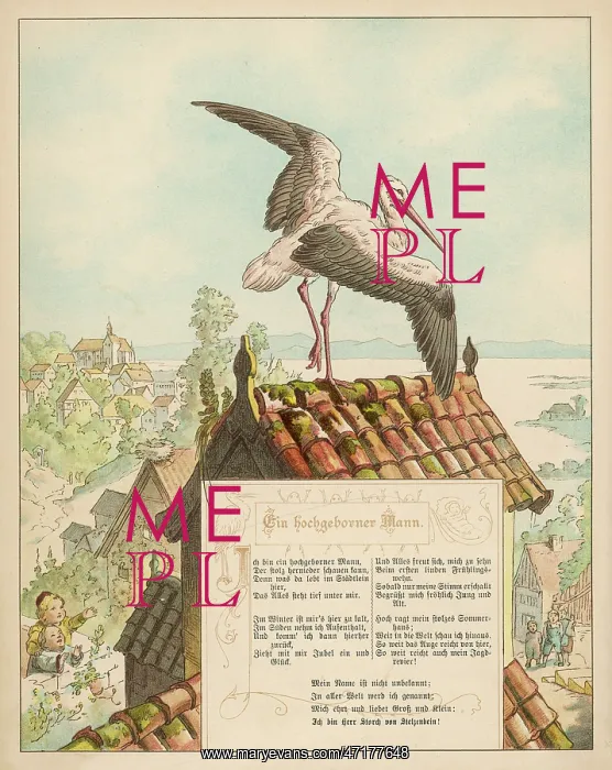: STORKS ON ROOFTOP C1870 : STORKS ON ROOFTOP C1870