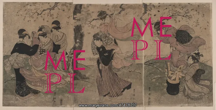 : A storm of petals : A storm of petals