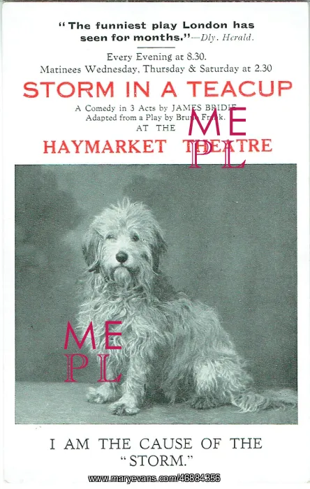 : Storm in a Teacuo by James Bridie : Storm in a Teacuo by James Bridie