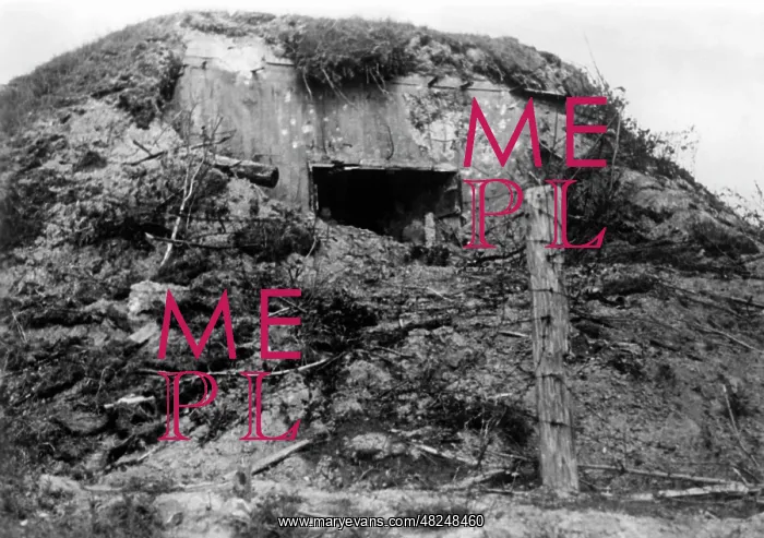 : Stormed bunker of the Red Army, 1941 : Stormed bunker of the Red Army, 1941