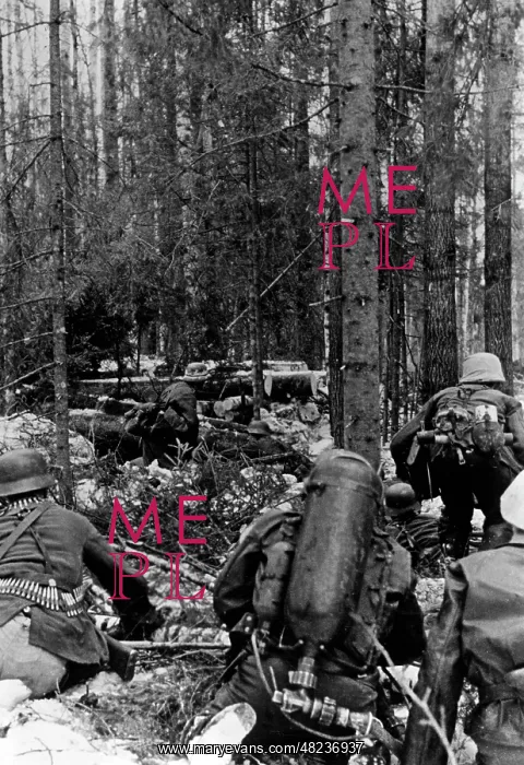 : Storming of a Soviet forest camp, June 1942 : Storming of a Soviet forest camp, June 1942