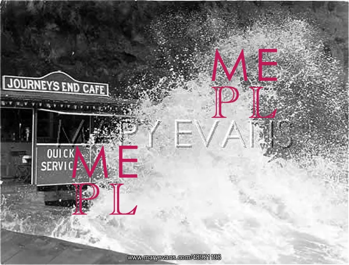 : STORMY CAFE : STORMY CAFE
